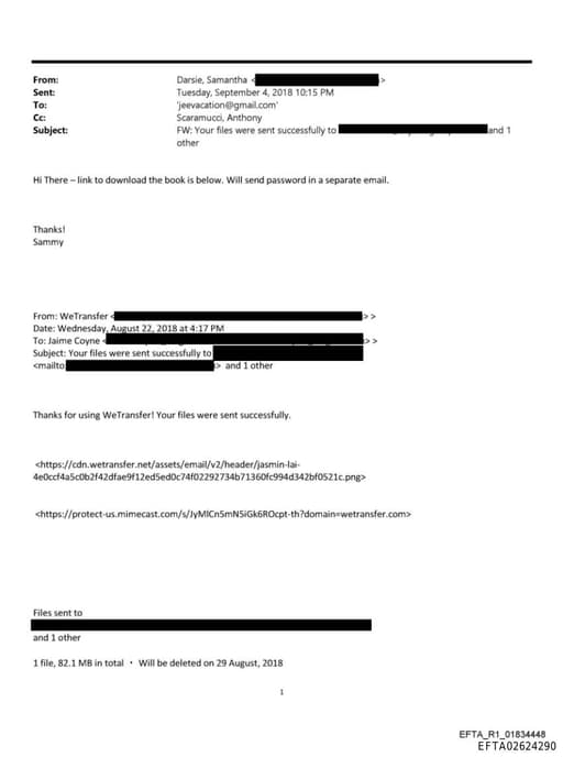 Preview of EFTA02624290