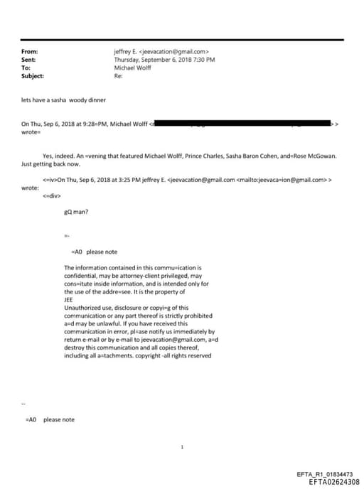 Preview of EFTA02624308