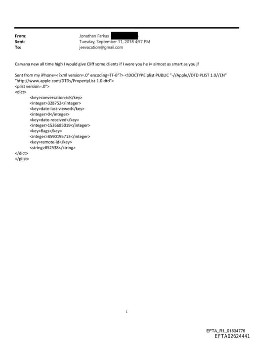 Preview of EFTA02624441