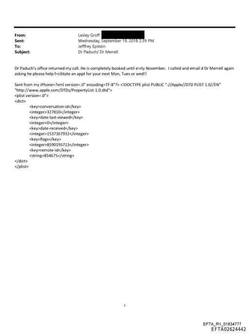 Preview of EFTA02624442