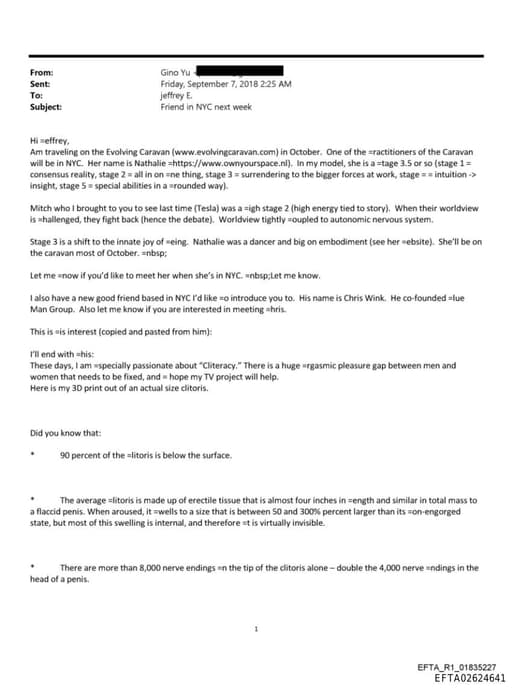 Preview of EFTA02624641