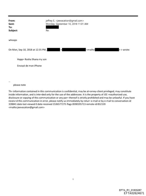 Preview of EFTA02624671