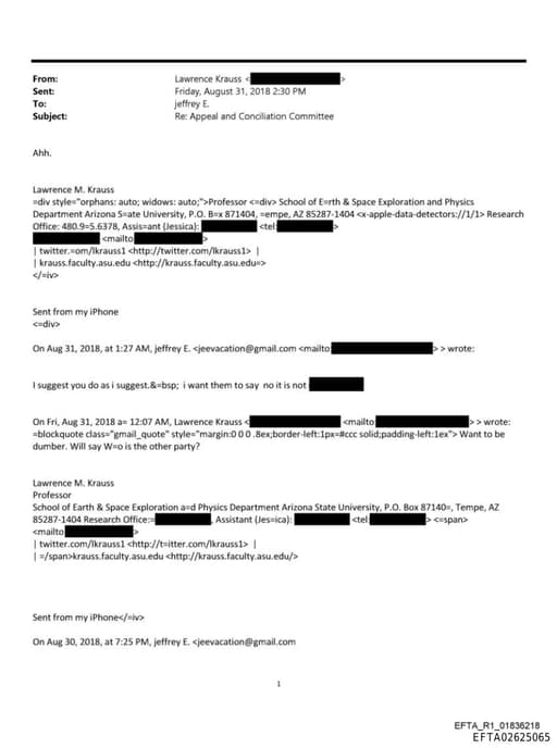 Preview of EFTA02625065