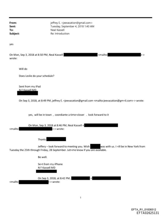 Preview of EFTA02625131