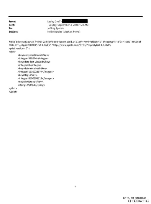 Preview of EFTA02625142