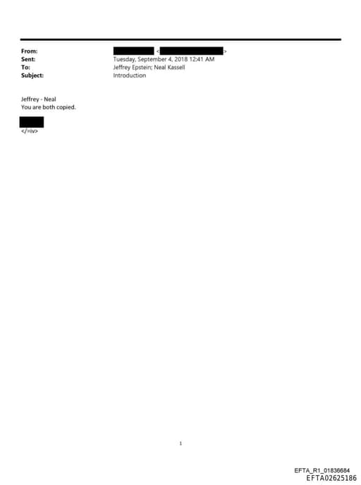 Preview of EFTA02625186