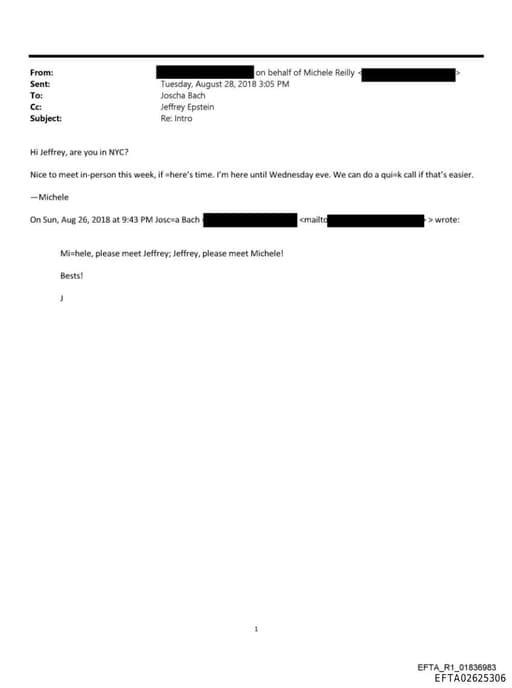 Preview of EFTA02625306