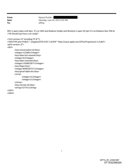 Preview of EFTA02496504