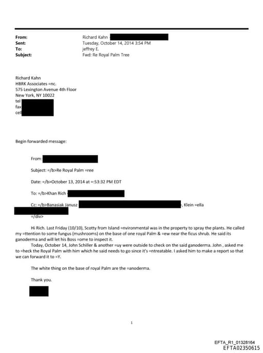 Preview of EFTA02350615