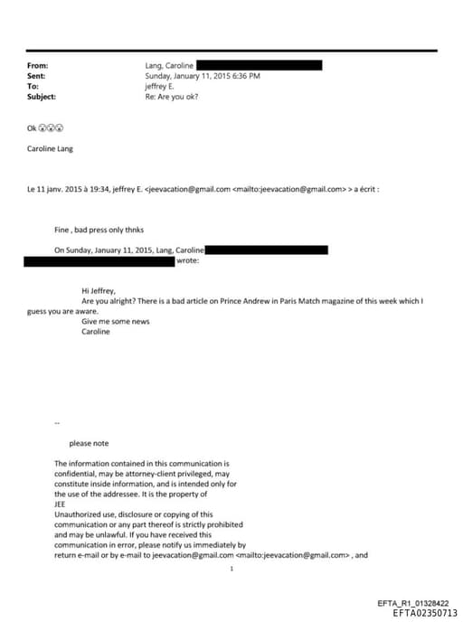 Preview of EFTA02350713