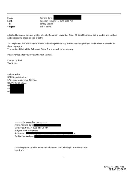 Preview of EFTA02625603