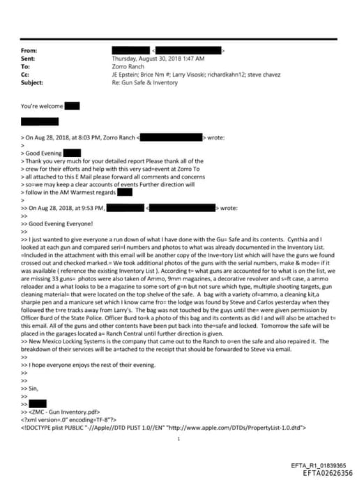 Preview of EFTA02626356