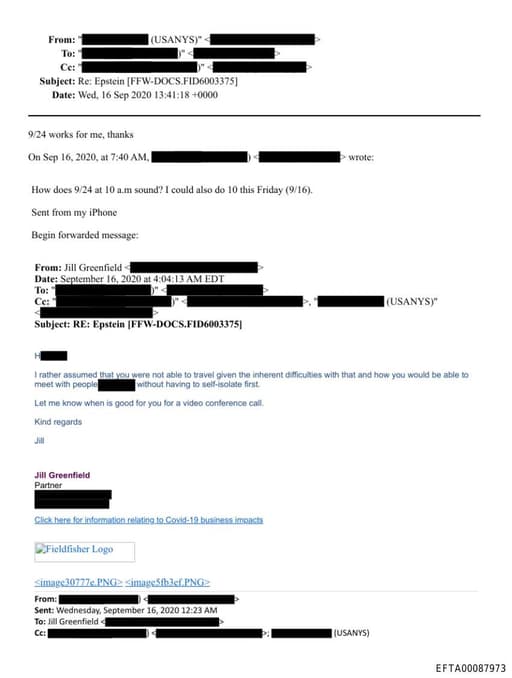 Preview of EFTA00087973