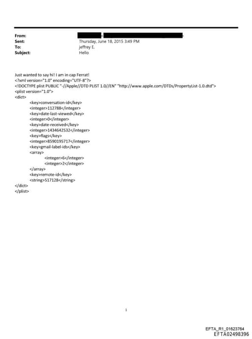 Preview of EFTA02498396