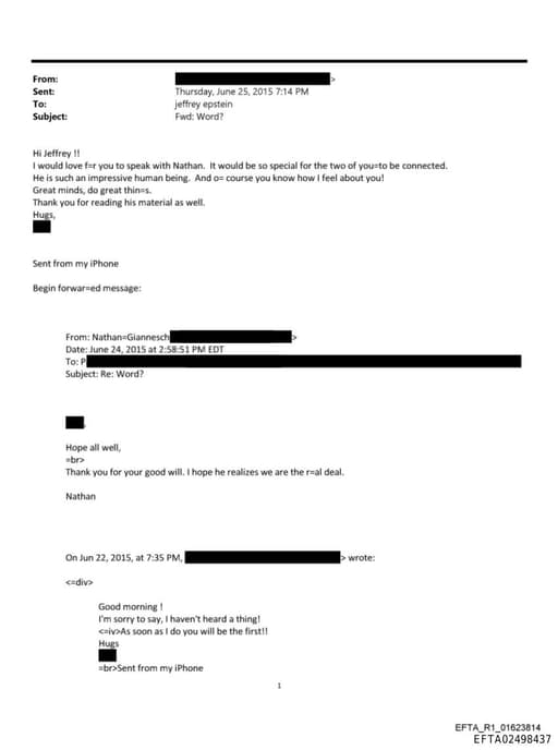 Preview of EFTA02498437