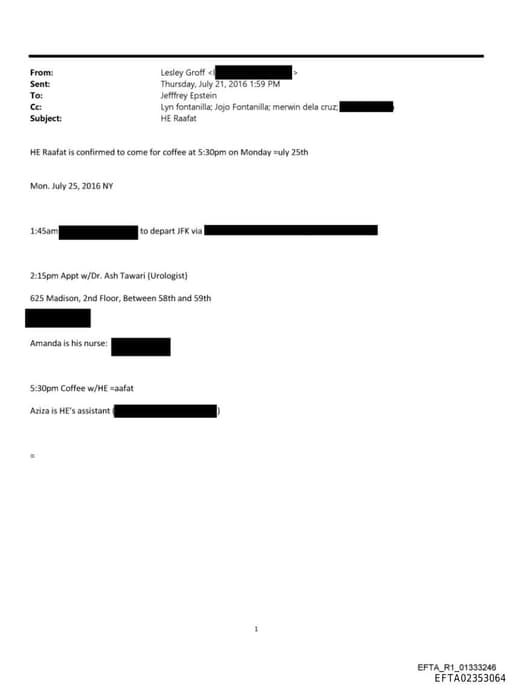 Preview of EFTA02353064