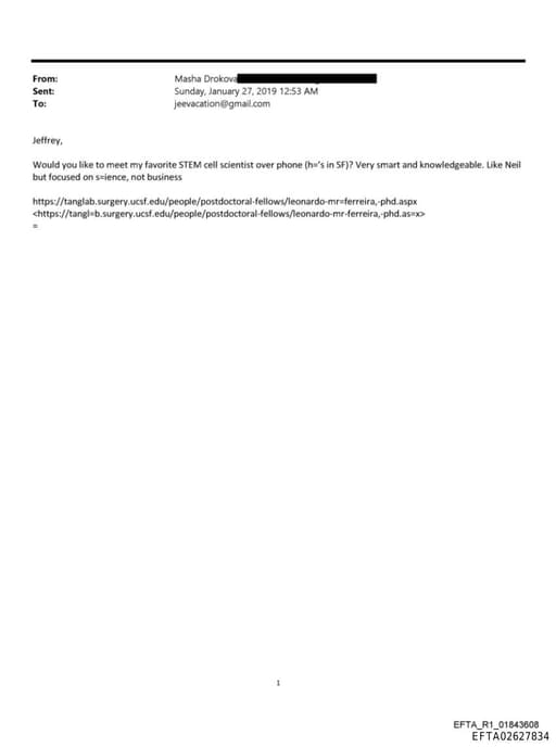 Preview of EFTA02627834