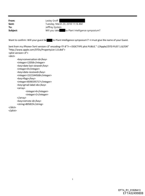 Preview of EFTA02499808