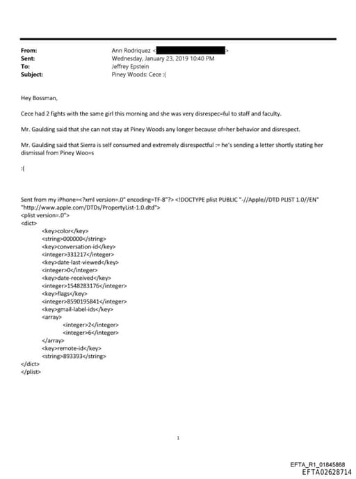 Preview of EFTA02628714