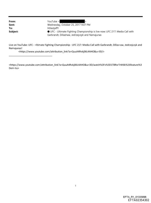 Preview of EFTA02354302