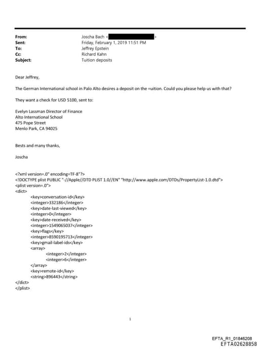 Preview of EFTA02628858