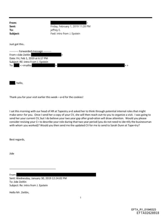 Preview of EFTA02628918