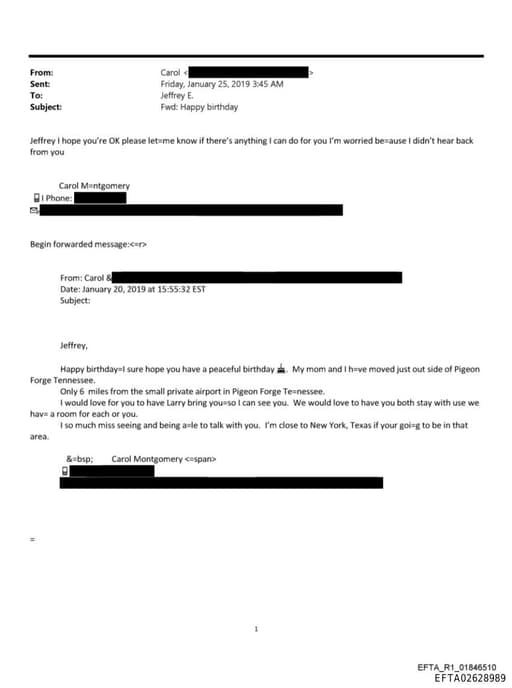 Preview of EFTA02628989