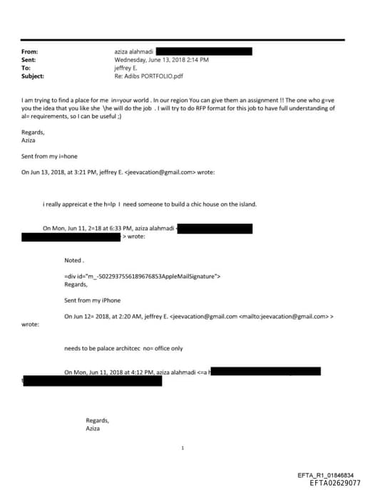 Preview of EFTA02629077