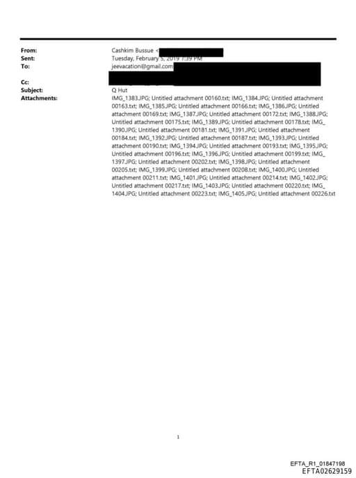 Preview of EFTA02629159