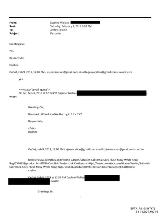 Preview of EFTA02629259