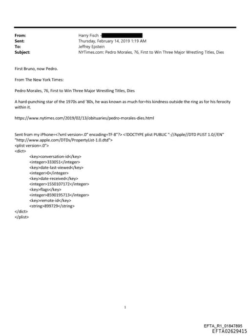 Preview of EFTA02629415