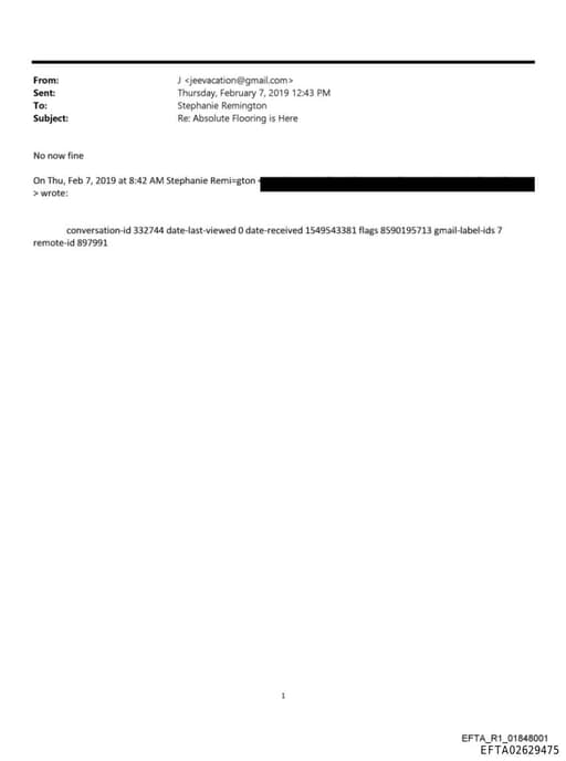 Preview of EFTA02629475