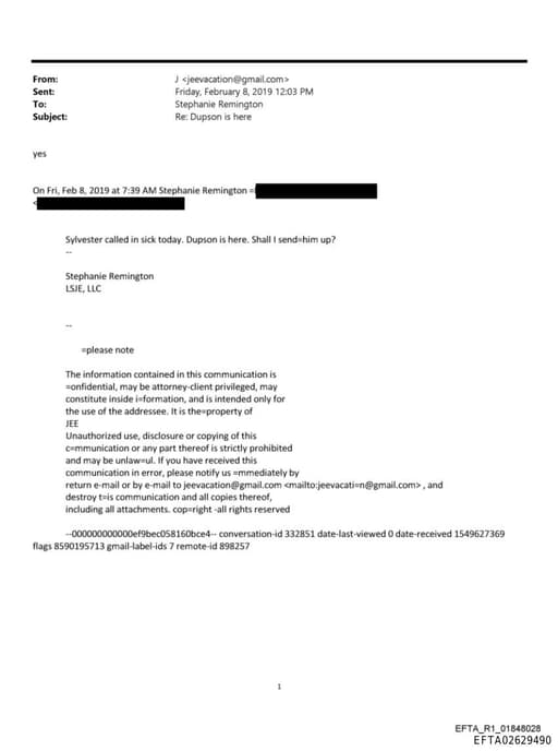 Preview of EFTA02629490