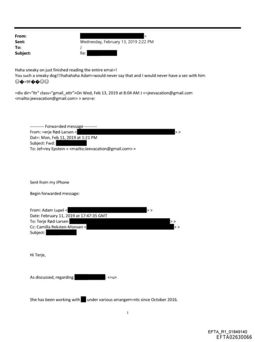 Preview of EFTA02630066