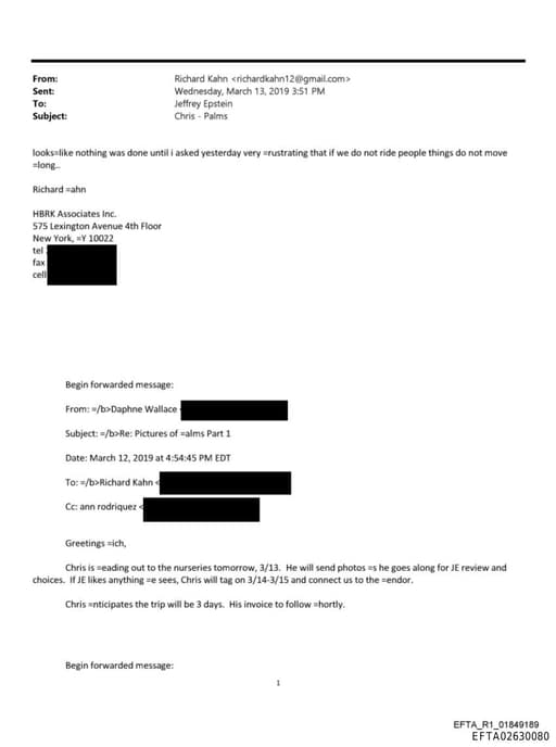 Preview of EFTA02630080