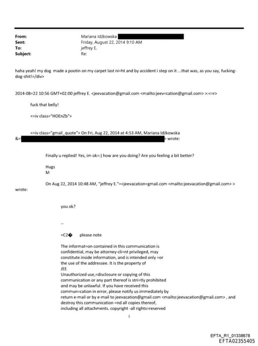 Preview of EFTA02355405