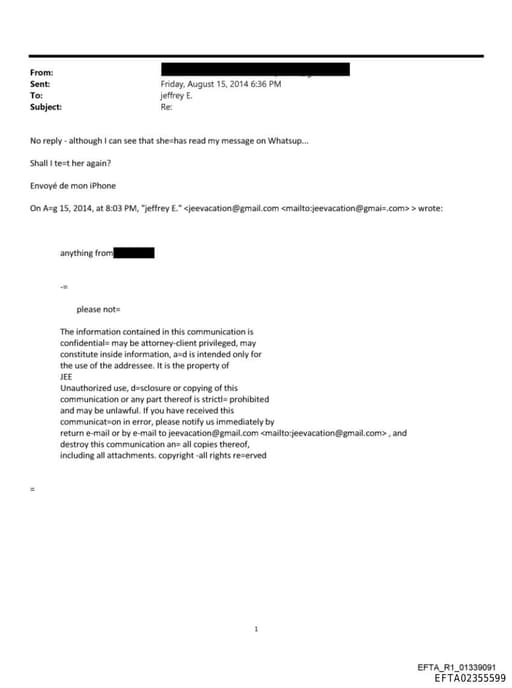 Preview of EFTA02355599