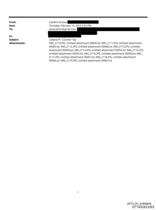 Preview of EFTA02631003