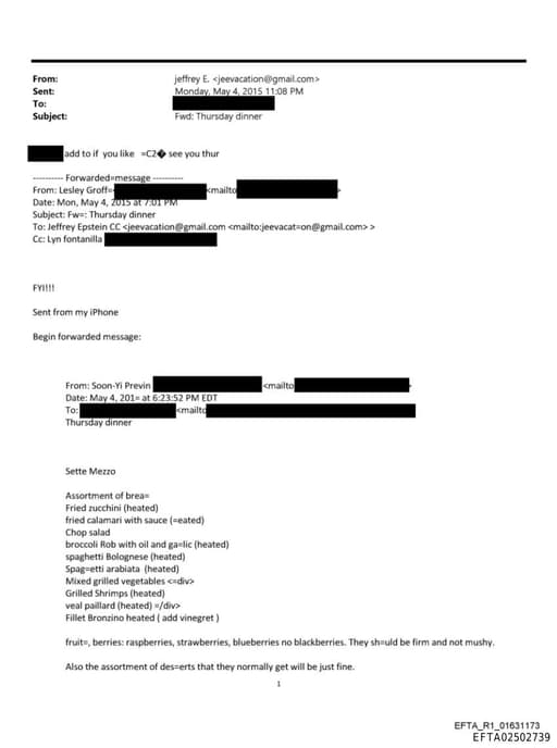 Preview of EFTA02502739