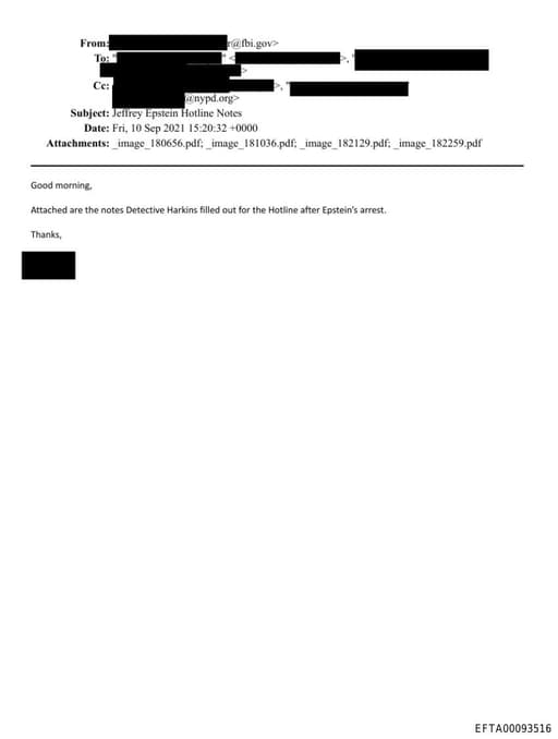 Preview of EFTA00093516