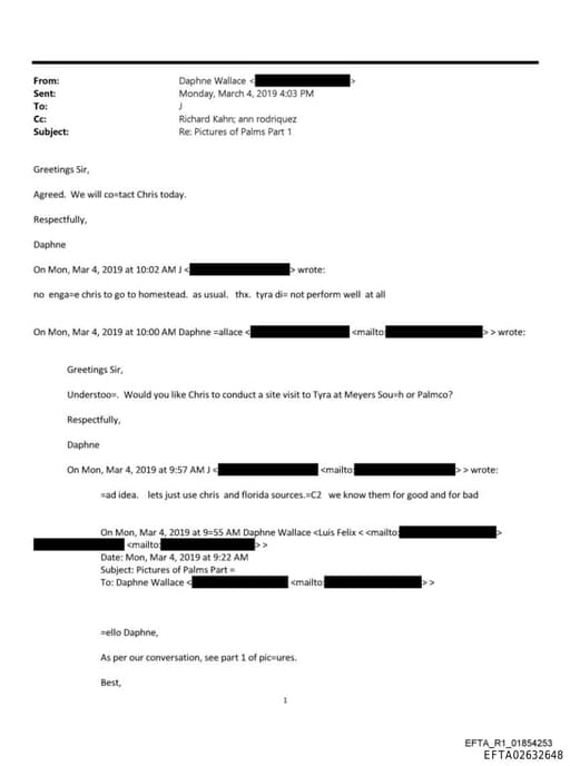 Preview of EFTA02632648