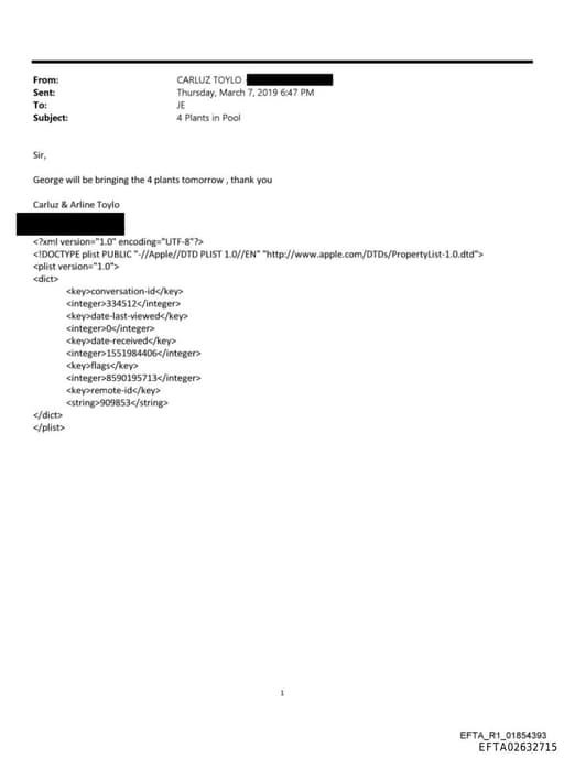 Preview of EFTA02632715