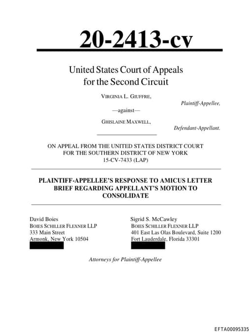 Preview of EFTA00095335