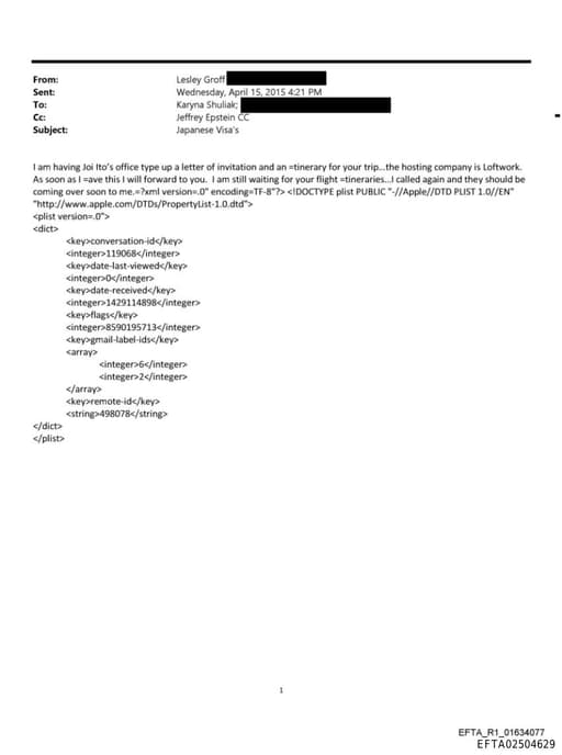 Preview of EFTA02504629