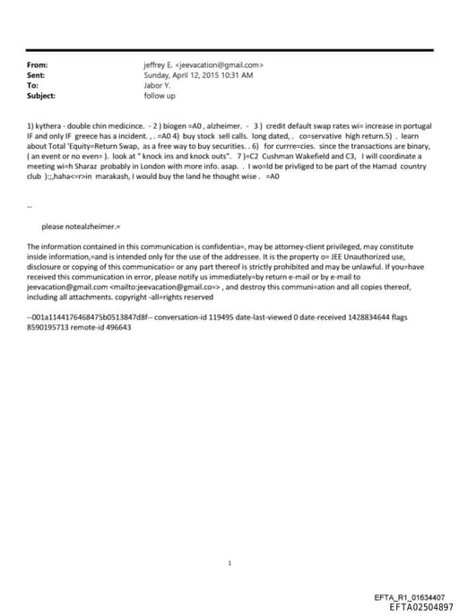 Preview of EFTA02504897