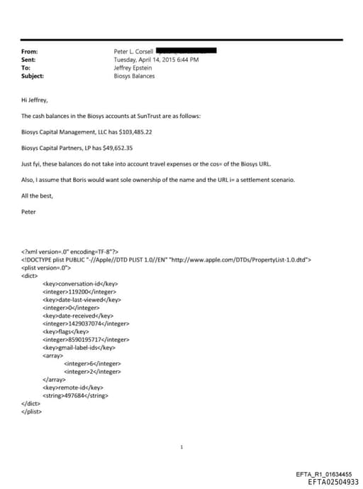 Preview of EFTA02504933