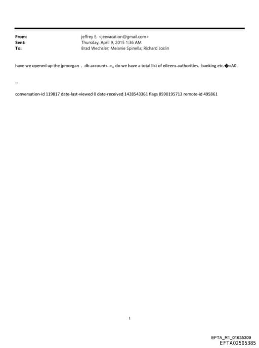 Preview of EFTA02505385