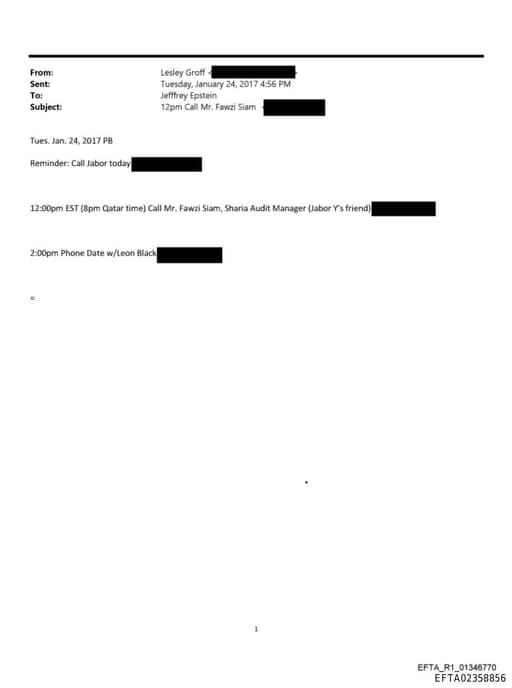 Preview of EFTA02358856