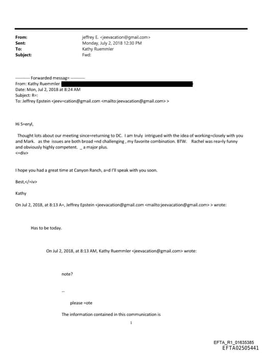 Preview of EFTA02505441