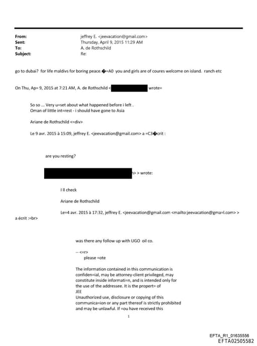 Preview of EFTA02505582